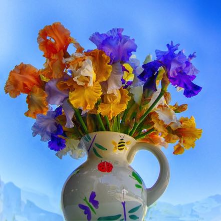 Vase of Irisis
