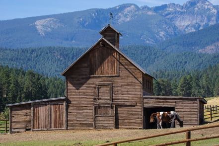 Barn and Mountain and Horse