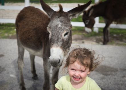 Nattie and Donkey