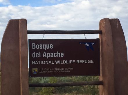 Bosque Sign