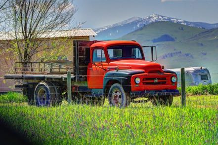 Old Montana Truck 5