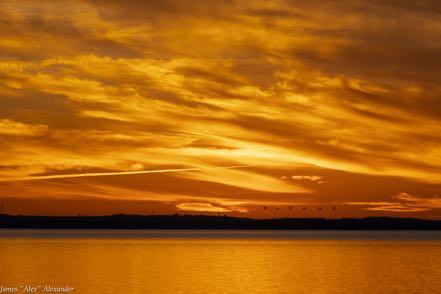 Lake Apopka Sunset II