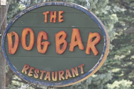 Dog Bar Sign