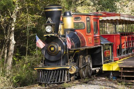 Swamp Park Train
