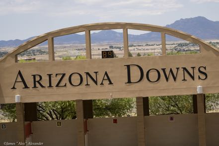 Arizona Downs Sign