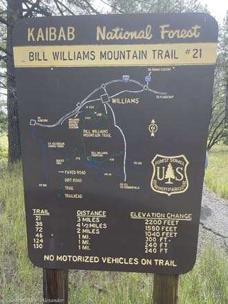 Bill Williams Mountain Trail