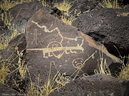 Petroglyphs NM 6