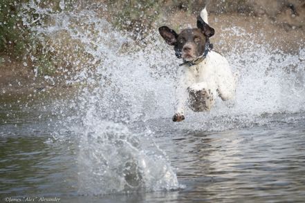 Gotta Get the Ball
