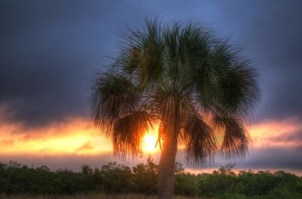 Pine Island Sunset #2