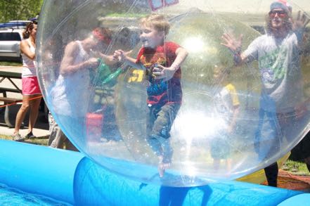 Hamster Ball #2