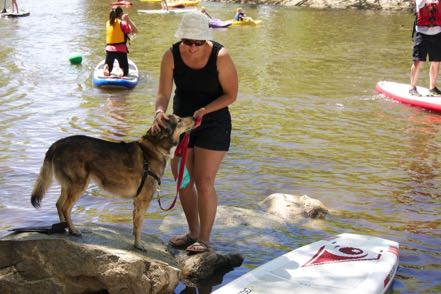 PaddleFest Pup #1