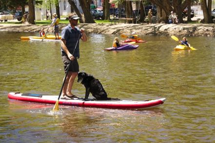 PaddleFest Pup #2