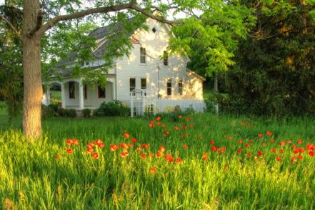 Charles Olsen Preserve