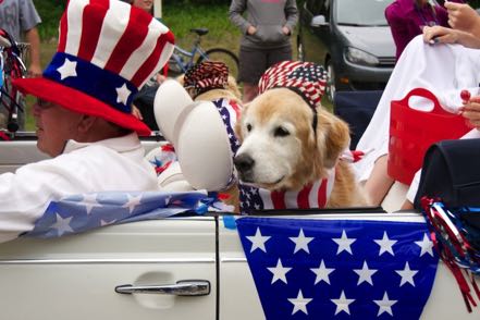 Parade Pup