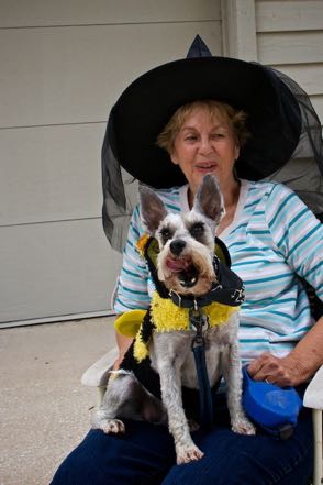 Mo the Witch and Bumblebee Mitzy