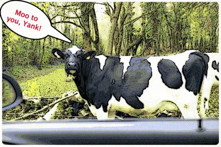 Moo Comic