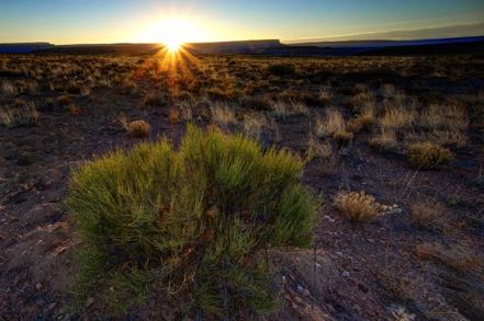 Hualapai Ranch Sunrise