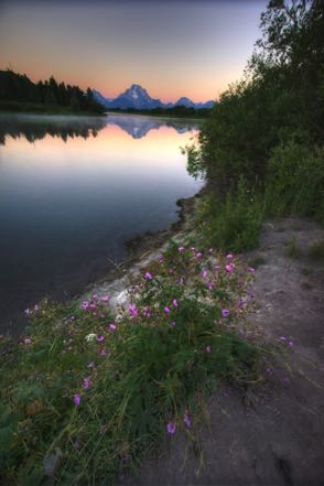 View from Oxbow Bend 2