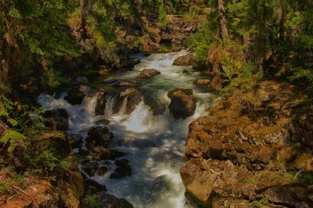 Waterfall Stream