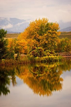 Fall Reflection