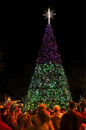 The Big Tree