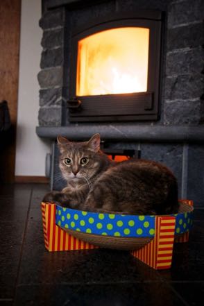 Dee by the Fire