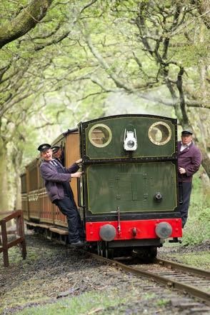 Narrow Gauge Train