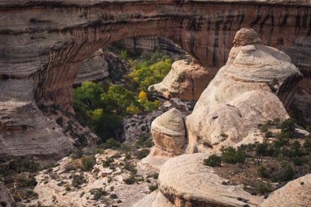 Natural Bridge 2