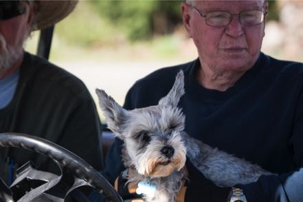 Mitzy Cart Ride