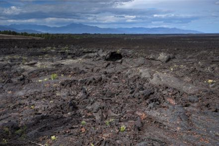 Craters of the Moon Landscape