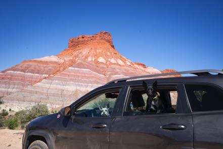 Mitzy and Jack at Escalante