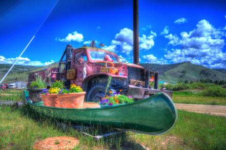 Flowery Old Truck