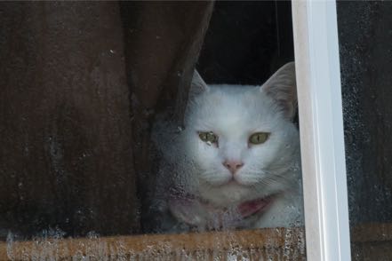 Smudge