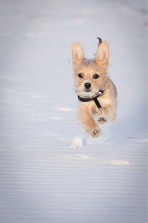 Tucker Making Tracks