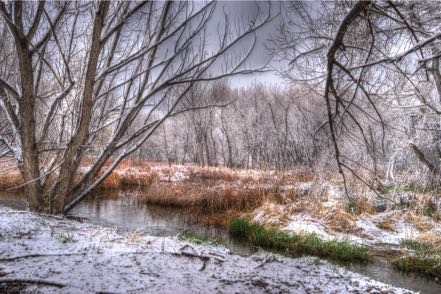 Snowy Cherry Creek 2