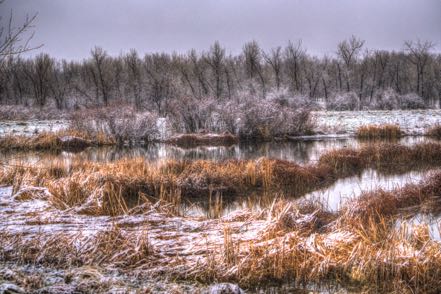 Snowy Cherry Creek 3