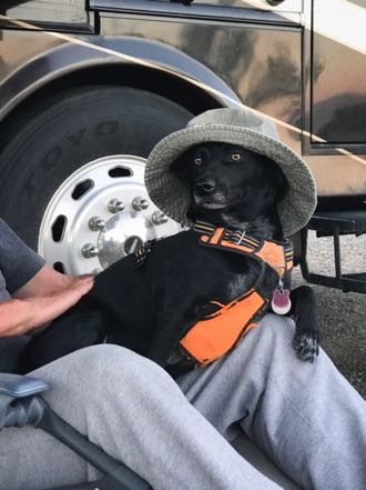 Jack Wearing Hat