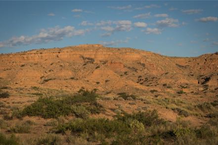 Sevilleta Landscape