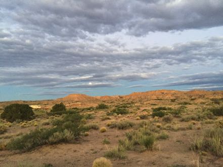 Sevilleta NWR