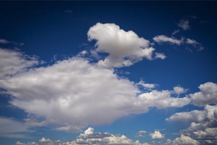 Sevilleta Sky