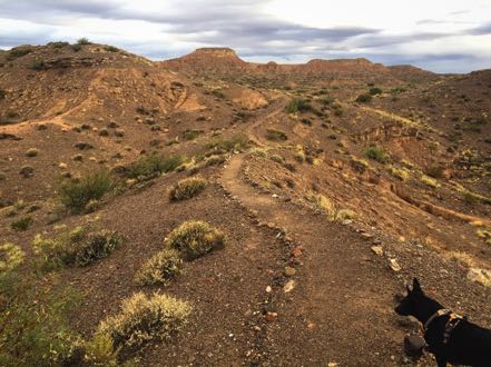 Jack on Ladrones Trail