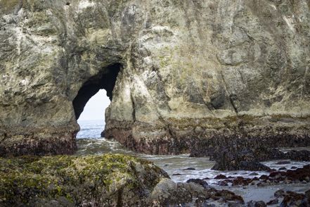 Elephant Rock