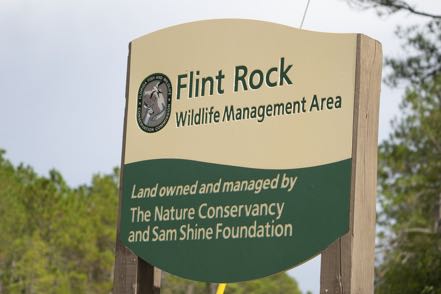 Flint Rock WMA