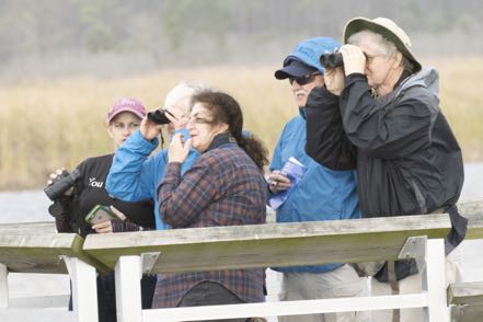 Birders