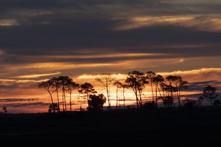 Pre-Sunrise