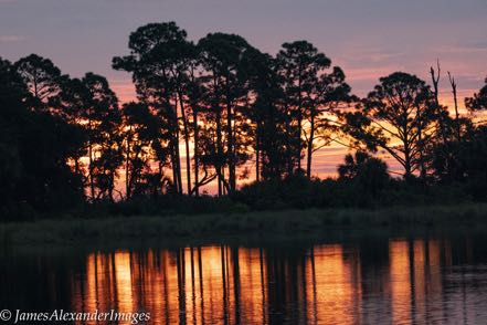 Pre-Dawn Sky