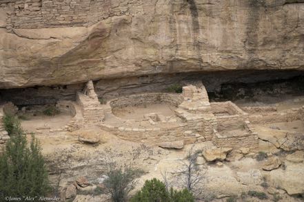 Mesa Verde III