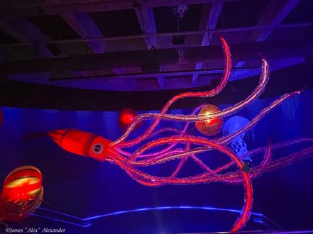 Light Display