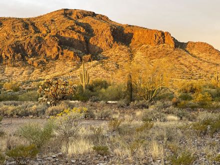Picacho Peak Early Morning