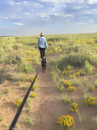 Jan, Jack and Rocky Mountain Zinnias